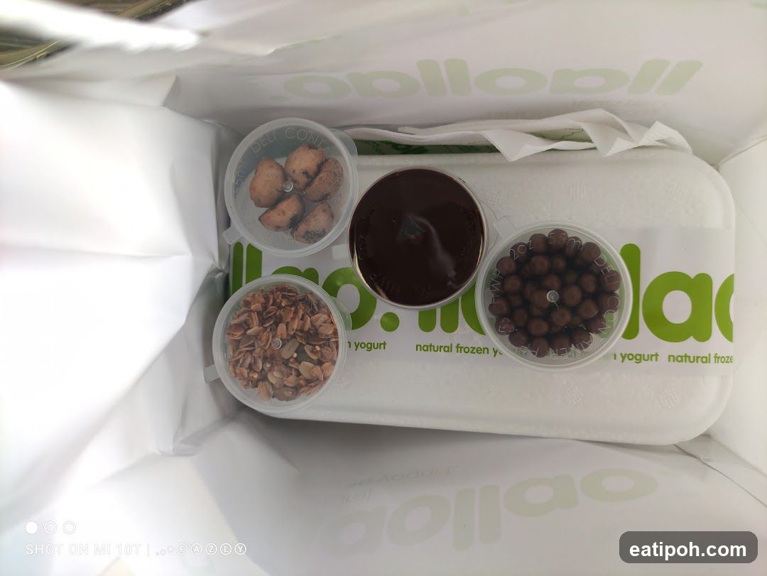 Frozen Yogurt Toppings