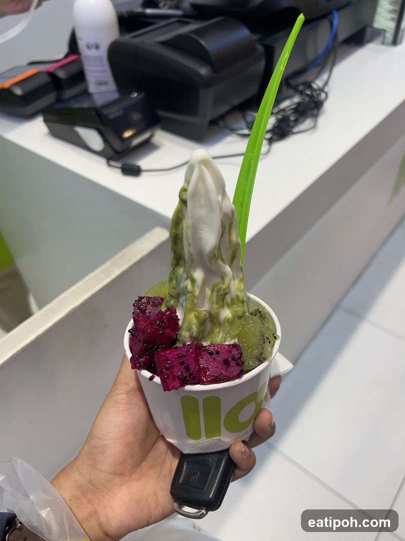 Frozen Yogurt with Fruit