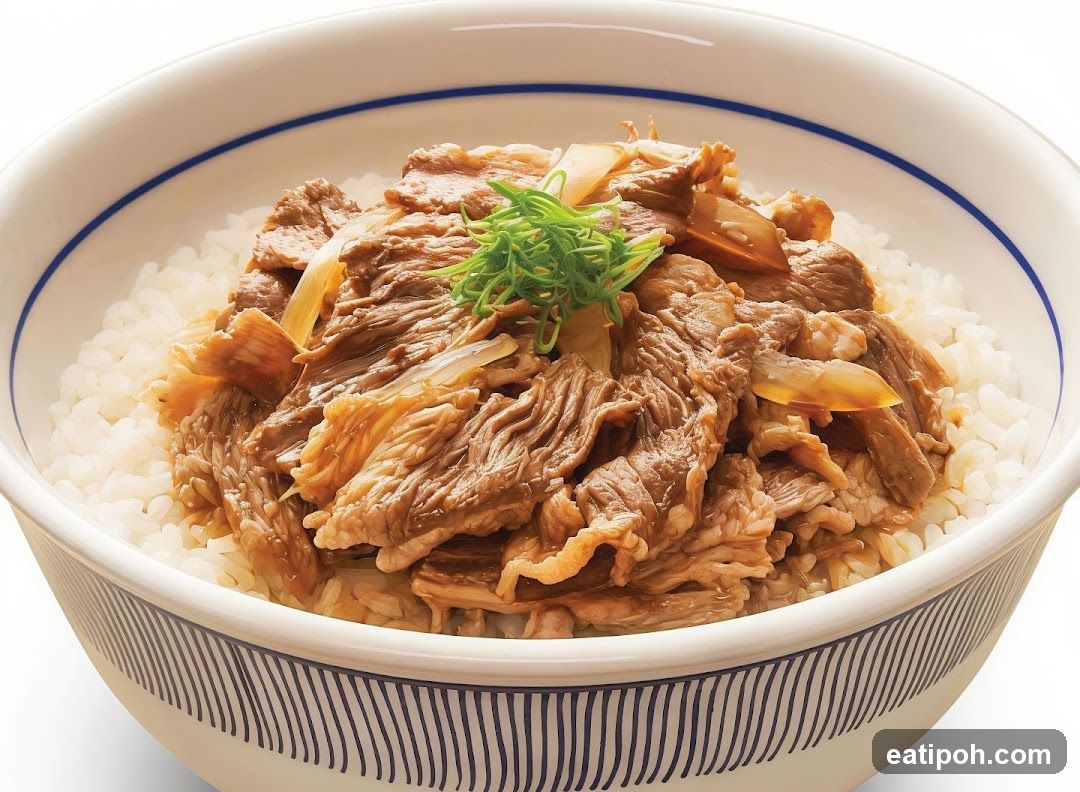 Beef and Rice Bowl