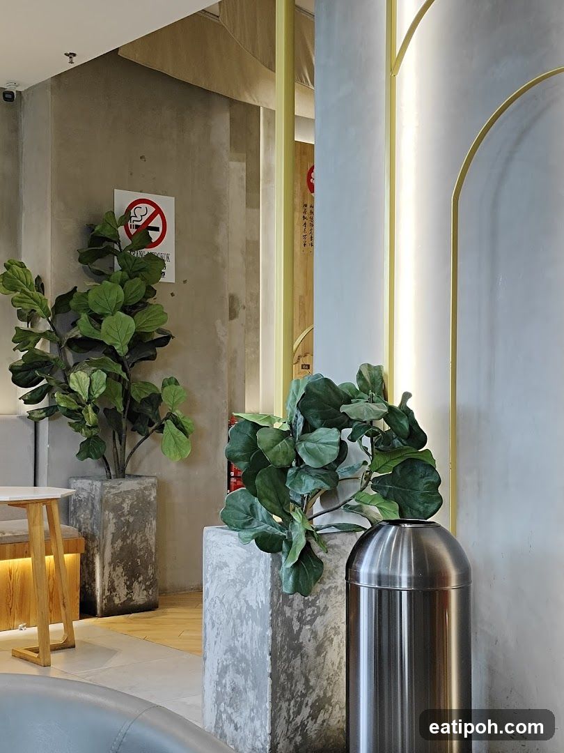 Indoor plants and decor