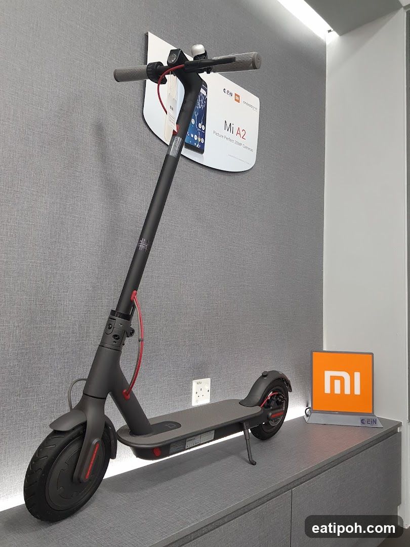 Electric Scooter Display