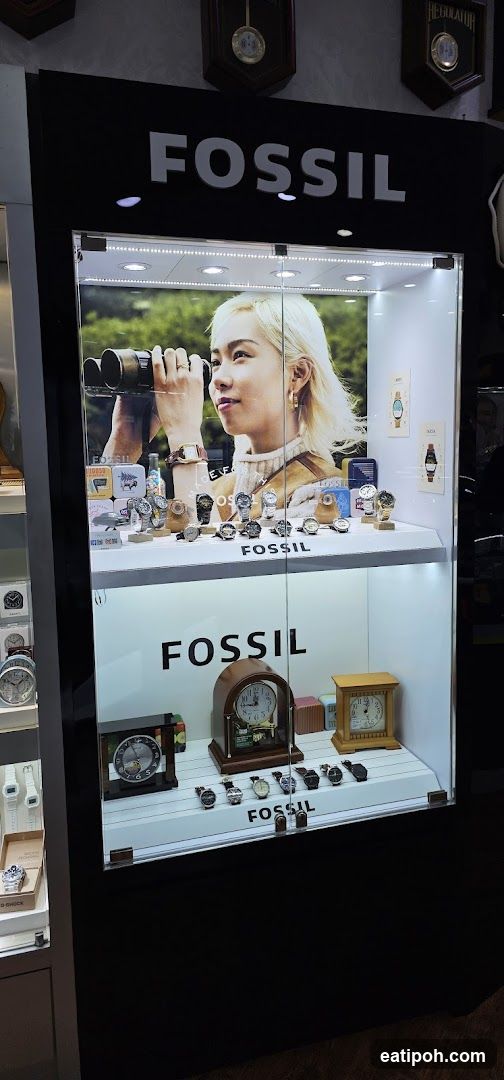 Fossil Watch Display