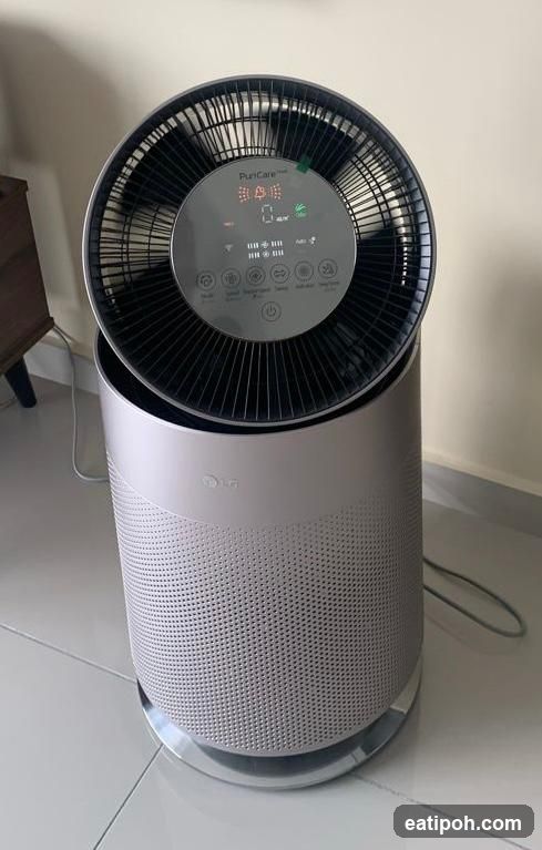 LG PuriCare Air Purifier