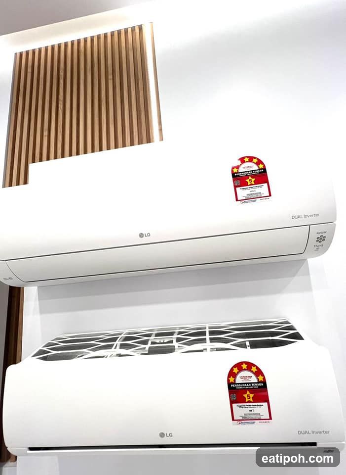 LG Dual Inverter Air Conditioners