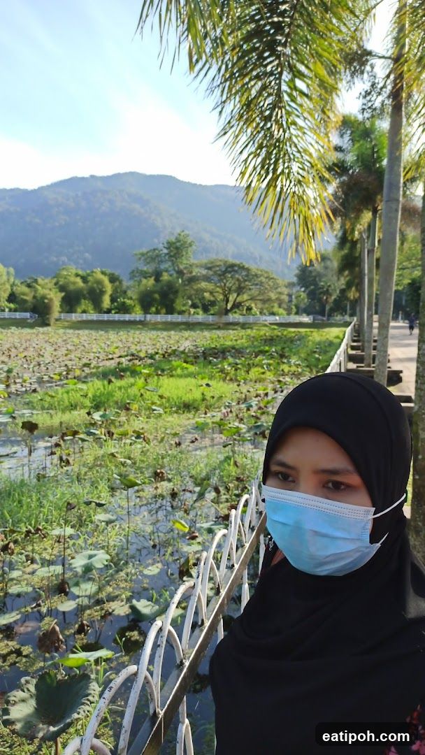 Woman in Hijab and Face Mask by a Lotus Pond