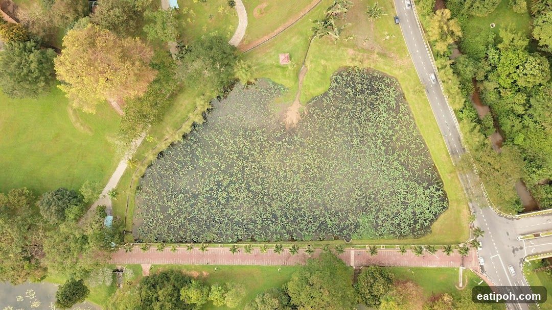 Aerial View of a Pond and Park