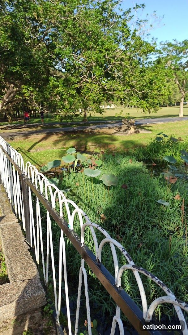 Park with Pond and Trees