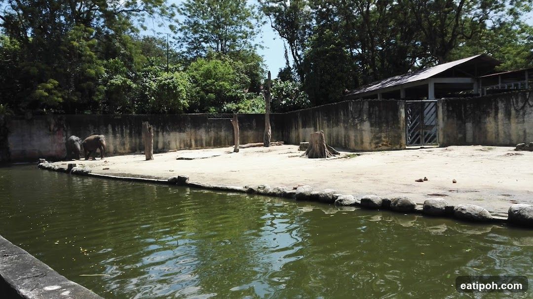 Taiping Zoo Car Park Area A