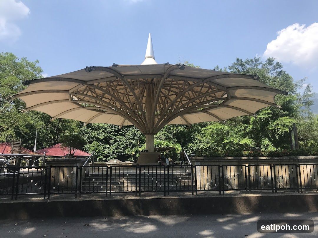 Outdoor Canopy Structure