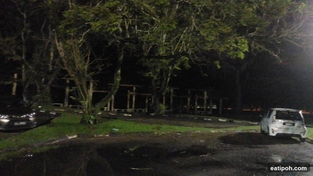 Nighttime parking lot with cars and trees