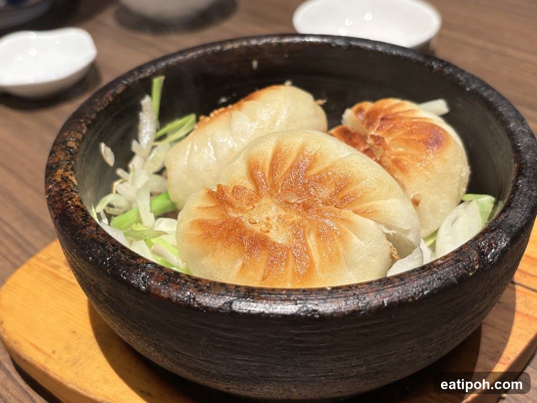 Pan-Fried Dumplings