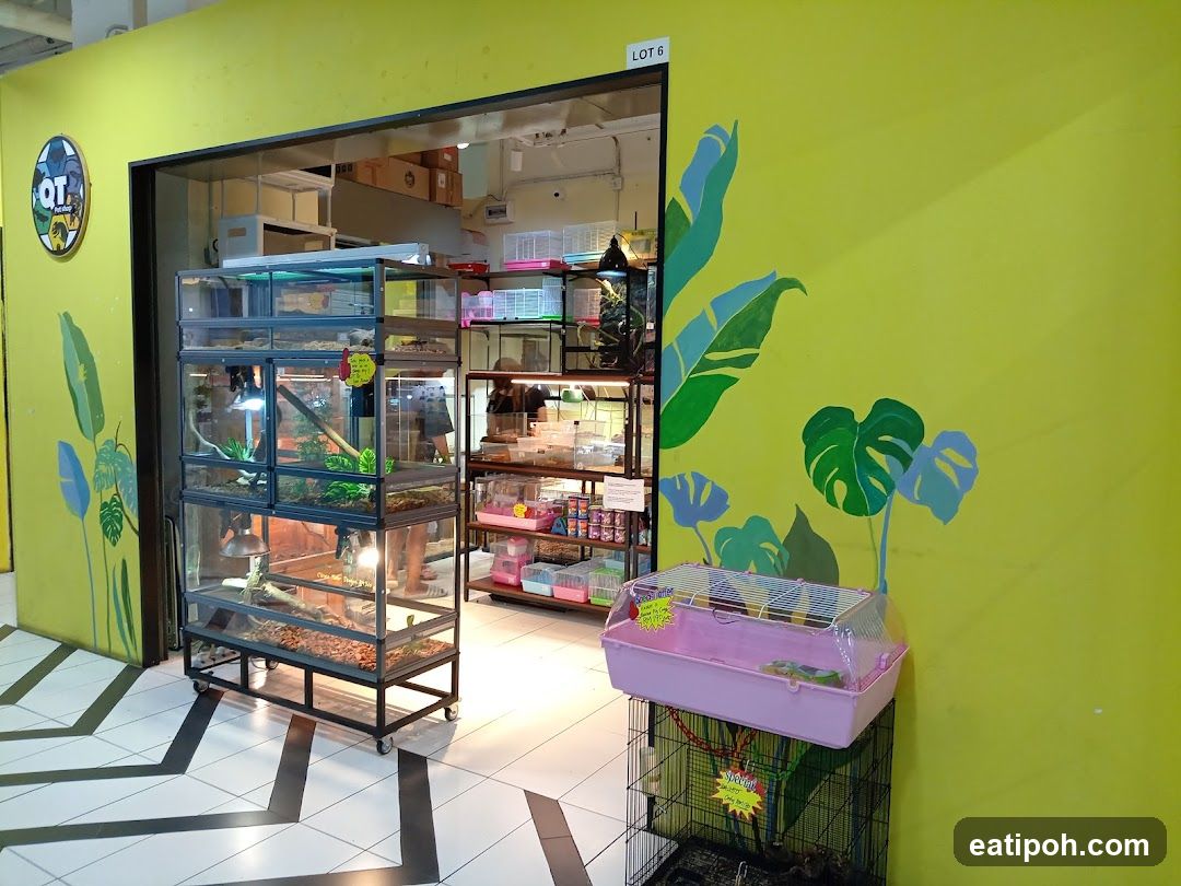 Pet store interior with animal enclosures