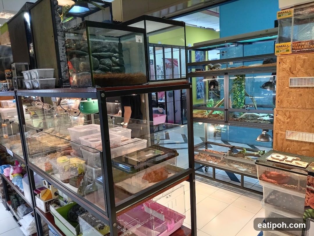 Pet Store with Reptile Enclosures