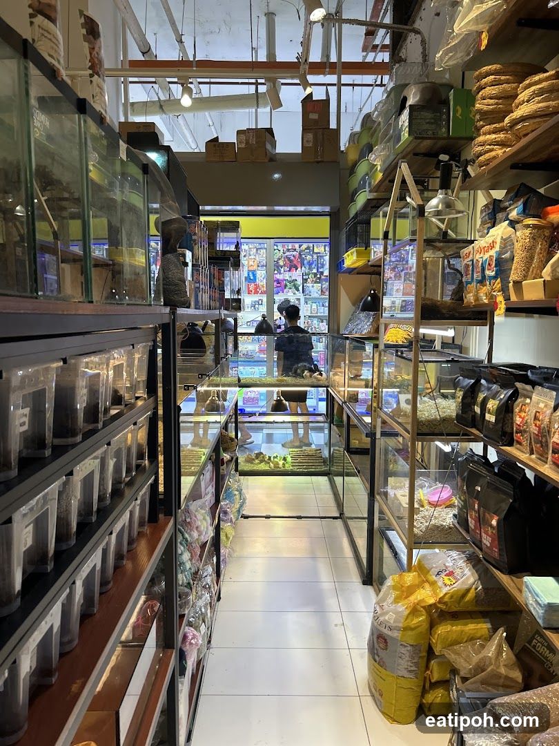 Pet Store Interior