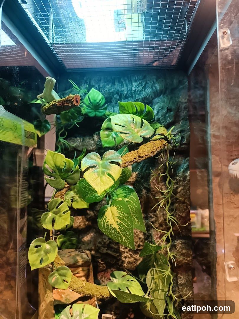 Terrarium with Lizard and Plants