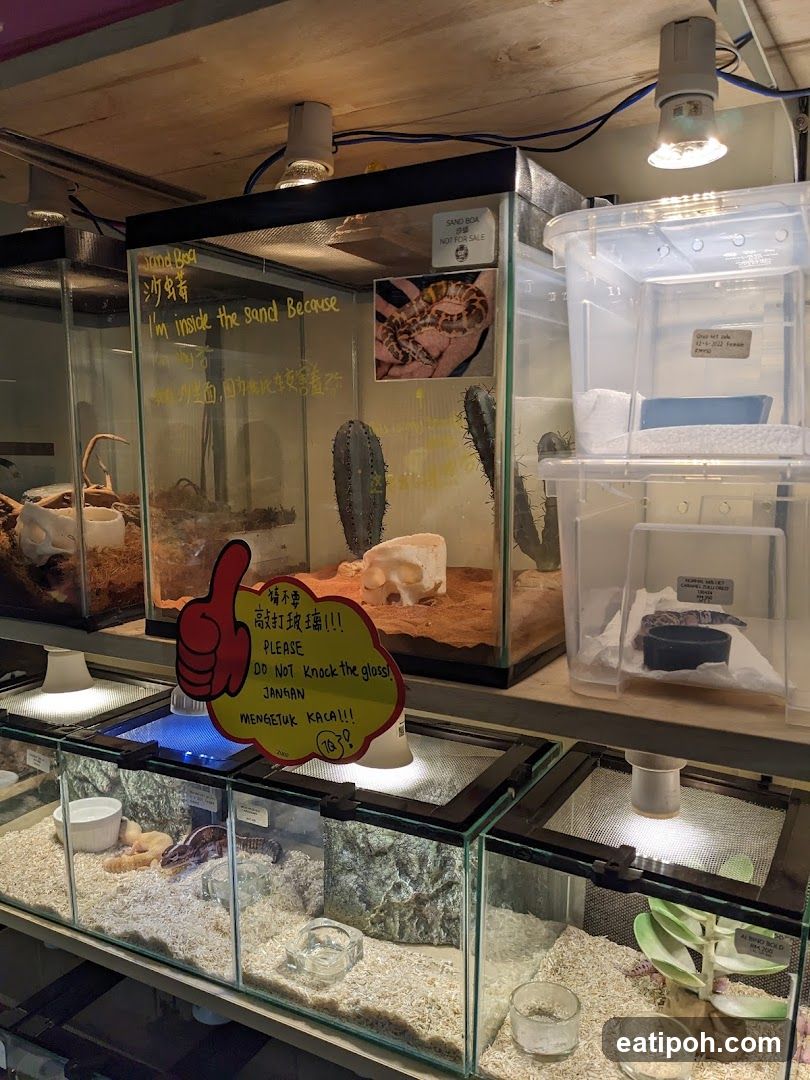 Reptile Enclosures