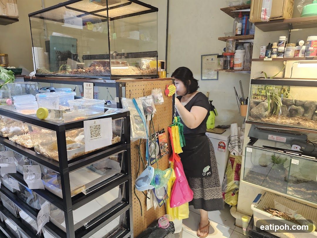 Pet store interior with woman