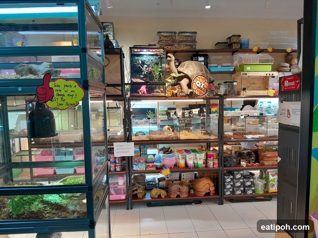 Pet Store Interior