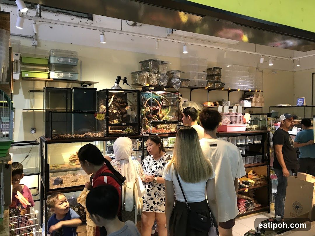 Pet Store Interior