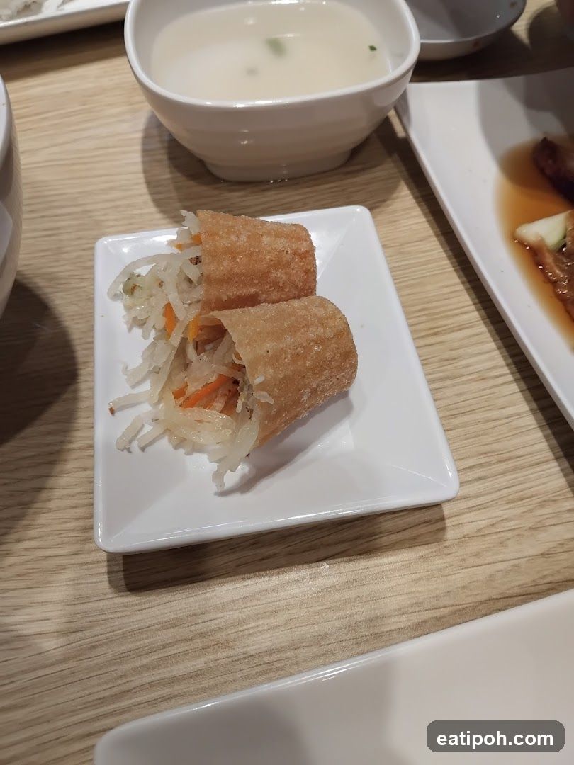 Spring Rolls and Soup