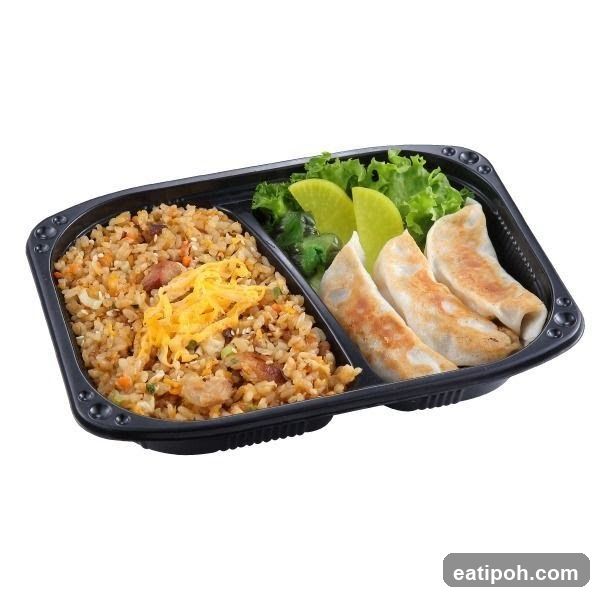 Fried Rice and Gyoza Bento Box